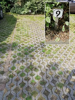 Parkplatz Nr. 9 direkt am Haus