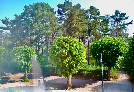 Blick aus dem Fenster zur Ostsee