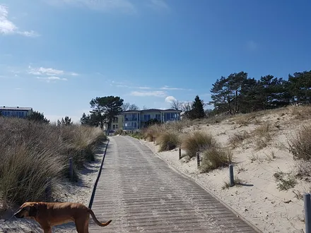 Blick vom Strand zum Haus