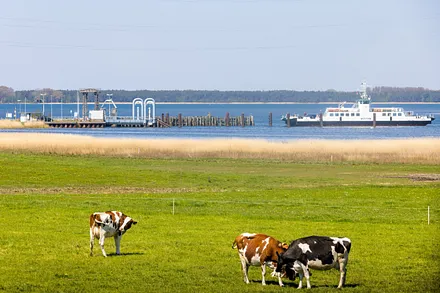 Der Bodden ist ca. 10 Fußminuten entfernt.