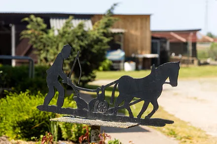 Die Ferienwohnung liegt auf einem wirtschaftenden Bauernhof mit Milchvieh.