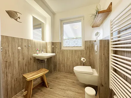 1.Tageslichtbad Wc und Waschbecken