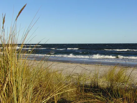 Blick zur Ostsee vom Strandabgang