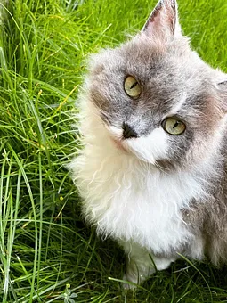 Knutschkugel 1 Wolly