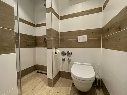 Badezimmer mit ebenerdiger Regen-Dusche, Fön, WC, Waschtisch und Sauna