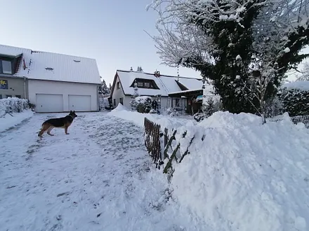Blick auf das Grundstück mit der Wohnung über der Garage 