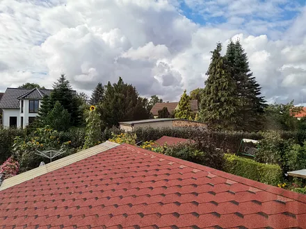 Blick vom Fenster aus, mit der 4,50m hohen Sonnenblume 