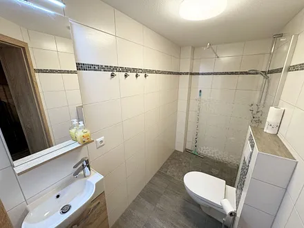 Untergeschoss mit Sauna, separate Walk-In-Dusche, Waschbecken und WC