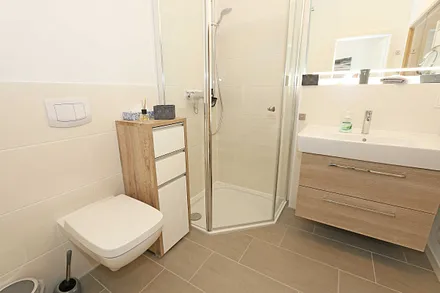 Badezimmer mit ebenerdiger Dusche, Fön, Badradio, Kosmetikspiegel, Waschtisch mit Unterschrank, WC und wohnungseigener Sauna