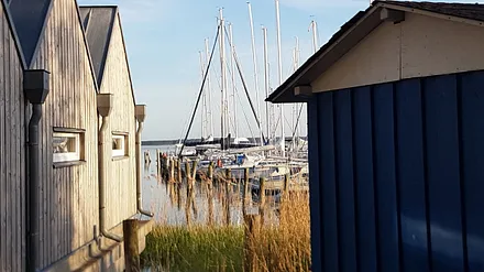 Hafen (50m entfernt)