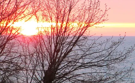 Blick vom Eingang zum Haff