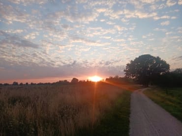 Sonnenuntergang am Feldrain