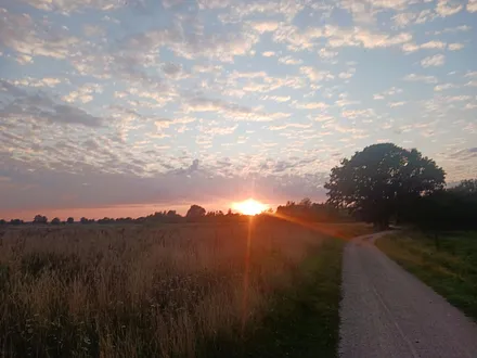 Sonnenuntergang am Feldrain
