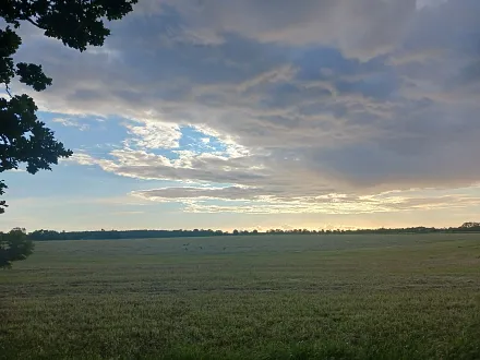 Wanderweg am Bodden nach Dändorf