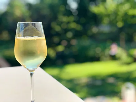 Blick von der Terrasse