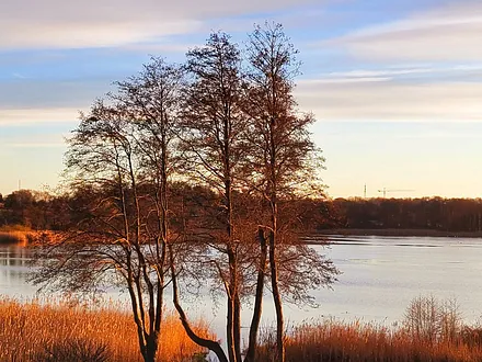 Ruhepool direkt am See