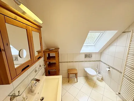 großzügiges Tageslichtbad mit Dusche, WC, Fön, Kosmetikspiegel und Waschtisch mit Spiegelschrank