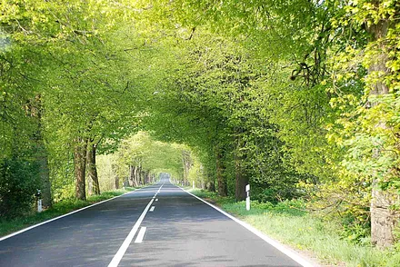  Die beschaulichen Alleenstraßen auf der Insel