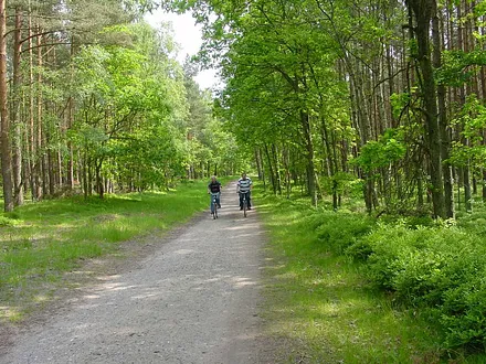 Herrliche Fahrradwege in der Baaber Heide