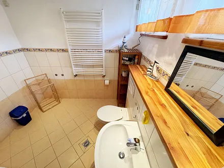 Ferienhaus Thea - WC und Waschtisch