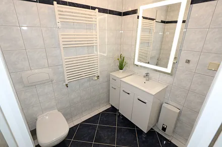 Badezimmer mit Dusche, Fön, Waschtisch, Kosmetikspiegel, WC und Handtuchheizkörper