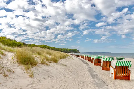 Dünengras Richtung Sellin