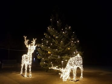 Entdecken Sie über Weihnachten und Silvester viele besondere Lichtinstallationen in der Umgebung. Inselglitzern an der Strandpromenade Zempin.