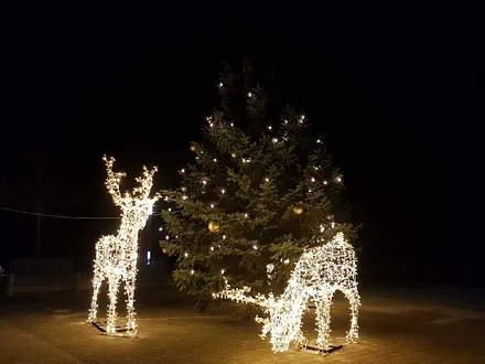 Entdecken Sie über Weihnachten und Silvester viele besondere Lichtinstallationen in der Umgebung. Inselglitzern an der Strandpromenade Zempin.