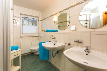 Tageslichtbad mit Dusche