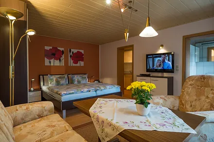 Wohn. / Schlafzimmer