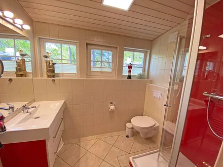 Tageslicht-Bad mit Dusche, WC, Waschplatz und Kosmetikspiegel