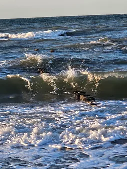 Ostsee