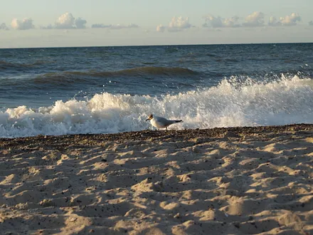 Der Strand direkt vor der Haustür, nur 50 m über die Straße