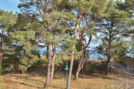 Blick auf die Promenade und Ostsee