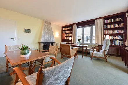 Kamin mit Bibliothek