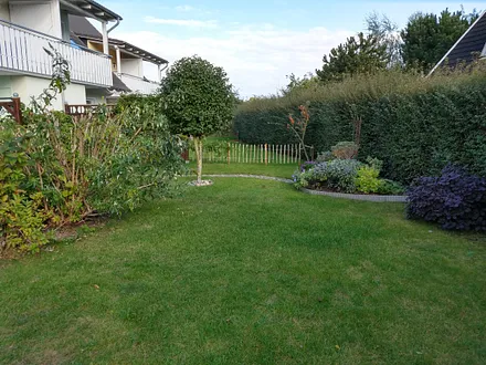 Blick zu den Nachbargärten