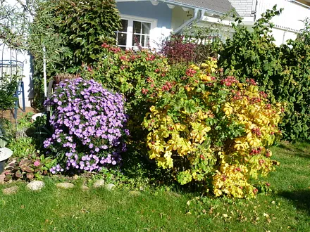 Spätsommerlicher Blick