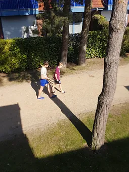 Blick vom Eingang. Autofreier Weg zwischen Kiefern. Ideal zum Spielen.