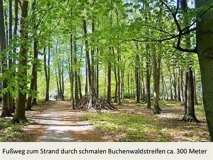 Fußweg zum Strand