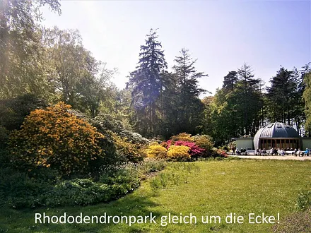 Rhododendronpark