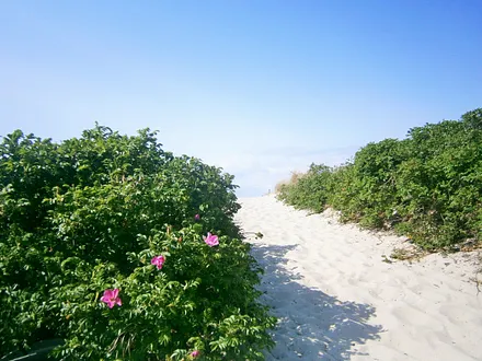 Strandzugang Graal-Müritz