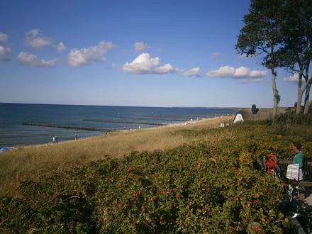 Ahrenshoop/ Fischland-Darß
