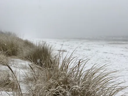 auch im Winter herrlich 