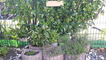 Kleiner Kräutergarten für Köxhe