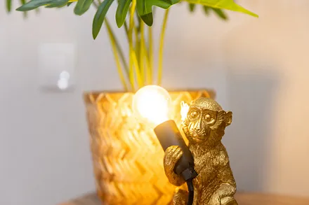 Details aus der Ferienwohnung Inselglück.