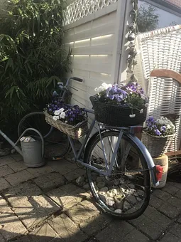 Impressionen FEWO MÖWE