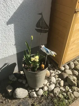 Impressionen Fewo Möwe