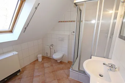 Tageslichtbad mit Dusche, Waschtisch, WC, Kosmetikspiegel und Fön 