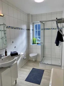 modernes Tageslichtbad mit Dusche, Waschtisch mit Unterschrank, Kosmetikspiegel, WC, Fön und Insektenschutz