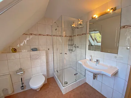 Tageslichtbad mit Dusche, Waschtisch, WC und Fön 